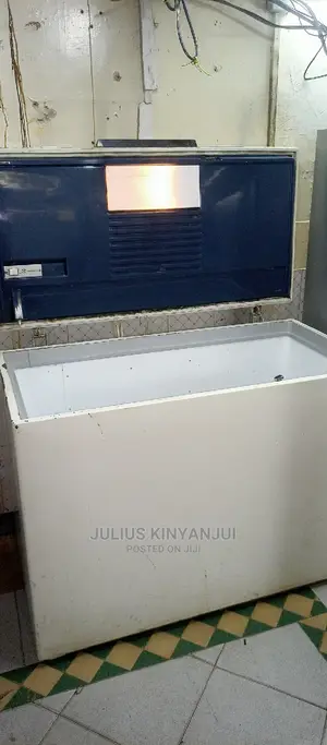 Deep Freezer 450L