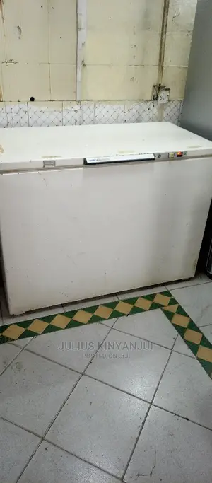 Deep Freezer 450L