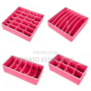4 in 1 Undergarments Organizer, Bras, Socks, Ties Organizer