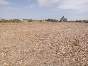 1/8 and 1/4 Plots Marura Touching Marura-Koshin Road