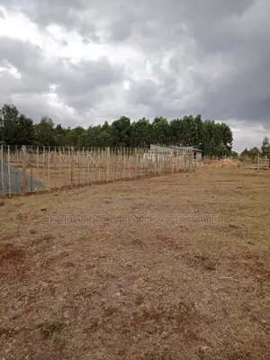 1/8 Plots Kapseret With Titles