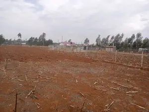 1/4 Plots Kuinet Ideal for Residential