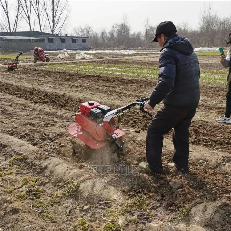 Small Orchard Trencher