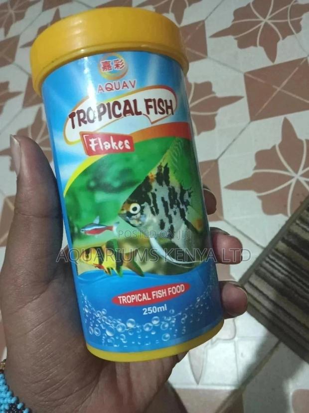 Frozen and Dried Flakes,Fish Food - main view