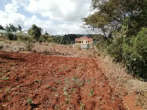 50x100 X100 Residential Plot for Sale in Kikuyu Ondiri