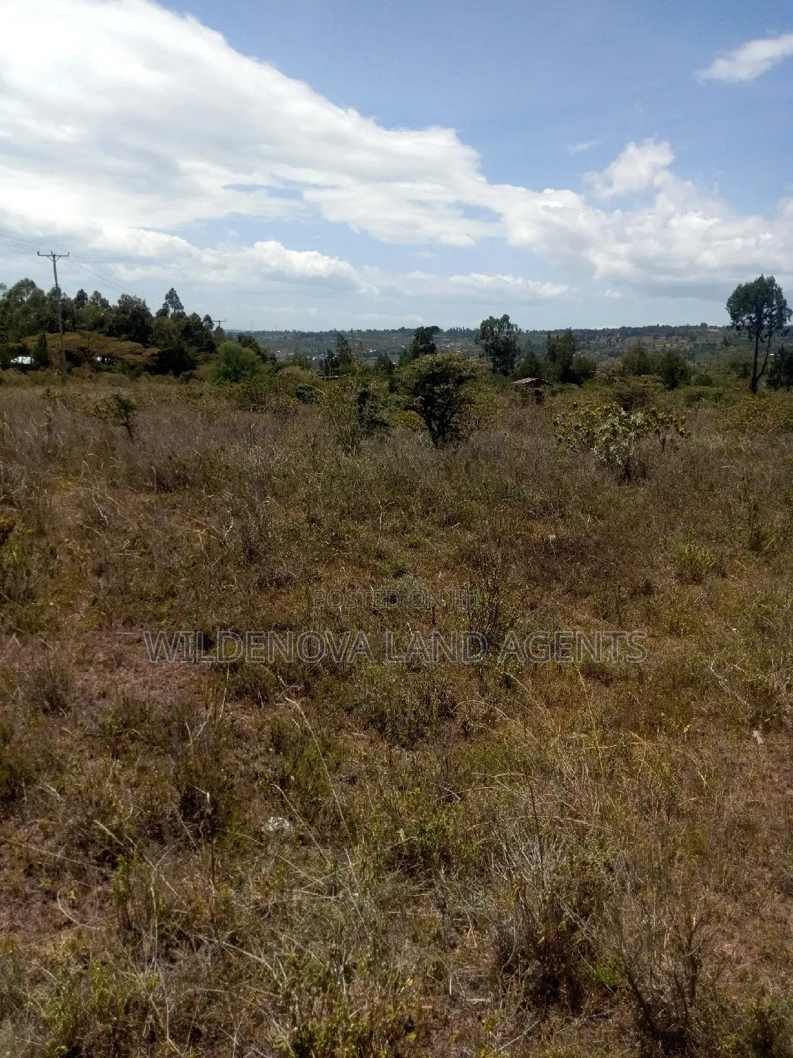 Land on Sale at Naivasha Nyamathi