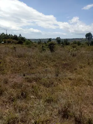 Land on Sale at Naivasha Nyamathi