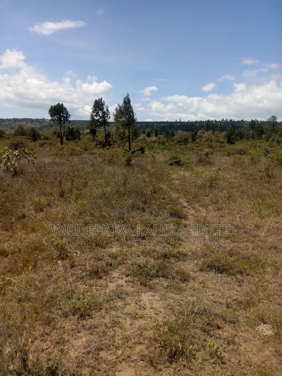 Land on Sale at Naivasha Nyamathi