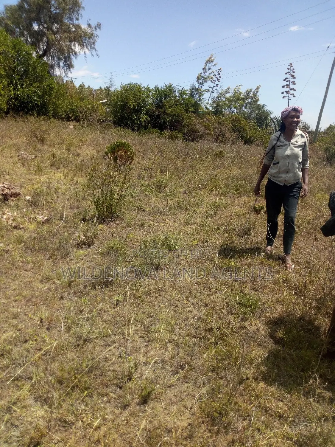 Land on Sale at Naivasha Nyamathi