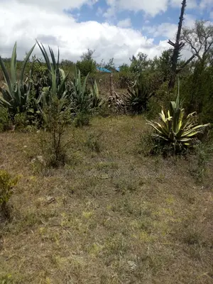Land on Sale at Naivasha Nyamathi