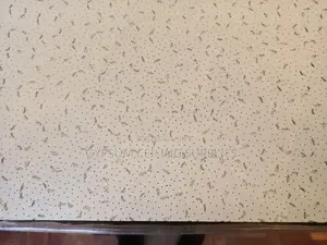 Armstrong Acoustic Ceiling Tile Per Piece