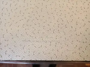 Armstrong Acoustic Ceiling Tile Per Piece