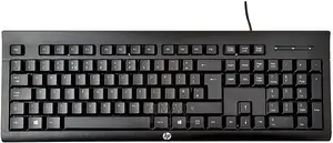 HP Wired Keyboard K1500 E/A USB - Gamma