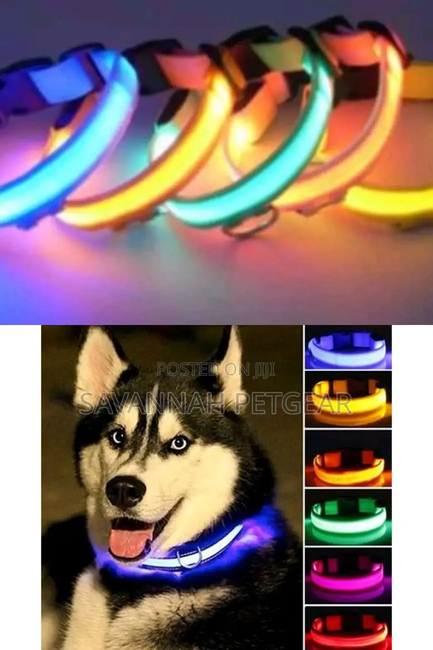 Dog Collar Glow in the Dark Led Dog Collar for Night Safety