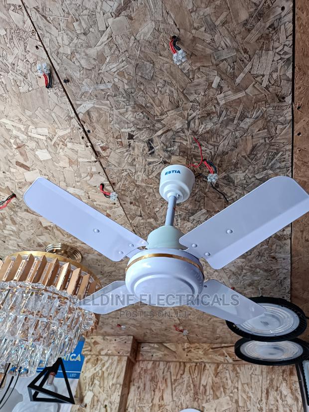 Celling Fan