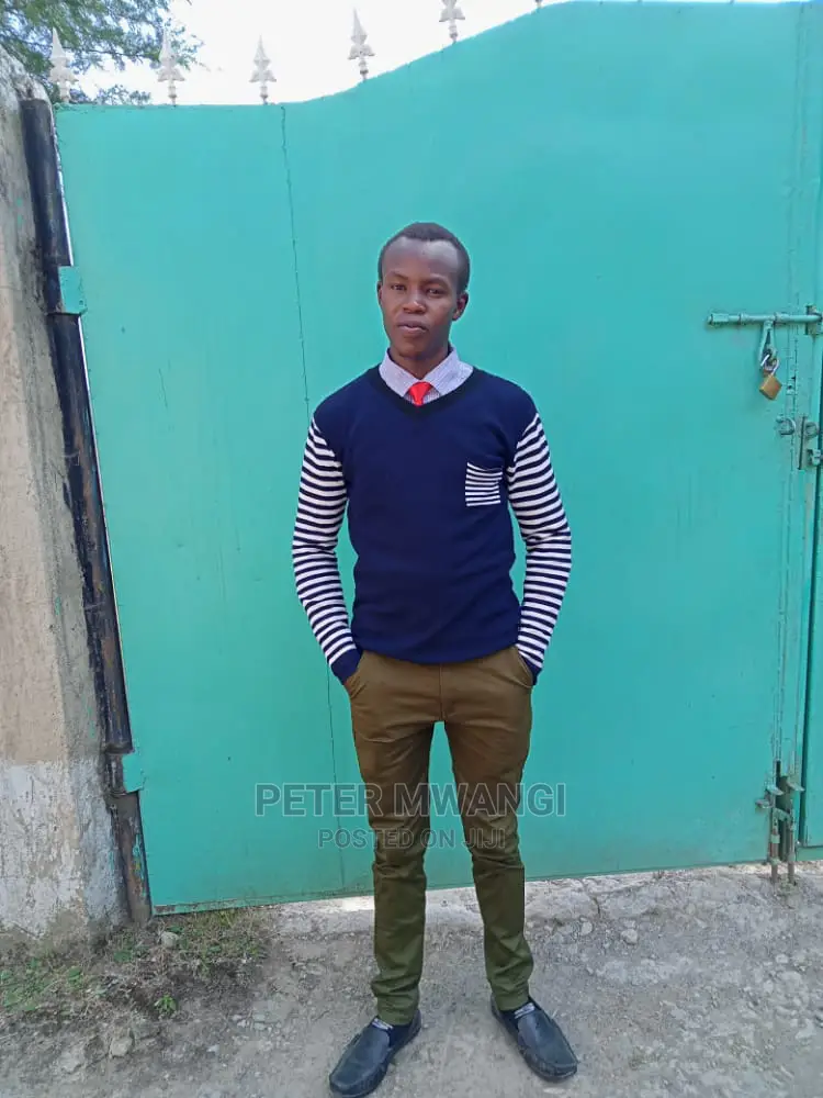 Seeking for a Personal Driver Job