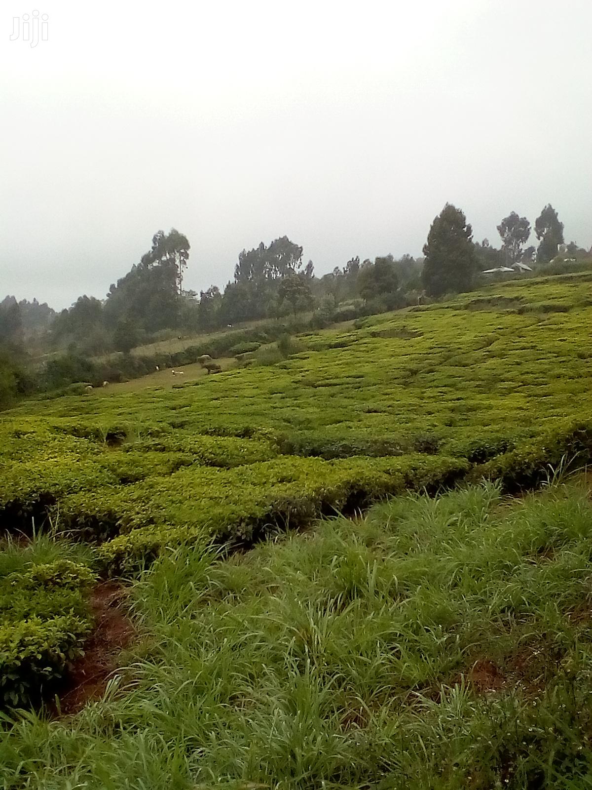 3 Acres Kinyogori, Limuru