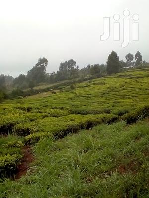 3 Acres Kinyogori, Limuru - thumbnail 2