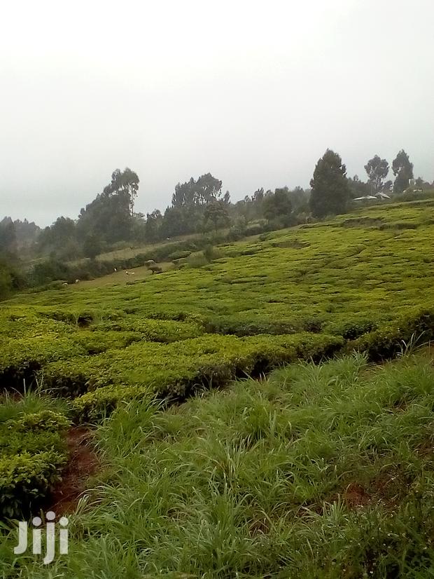 3 Acres Kinyogori, Limuru - main view