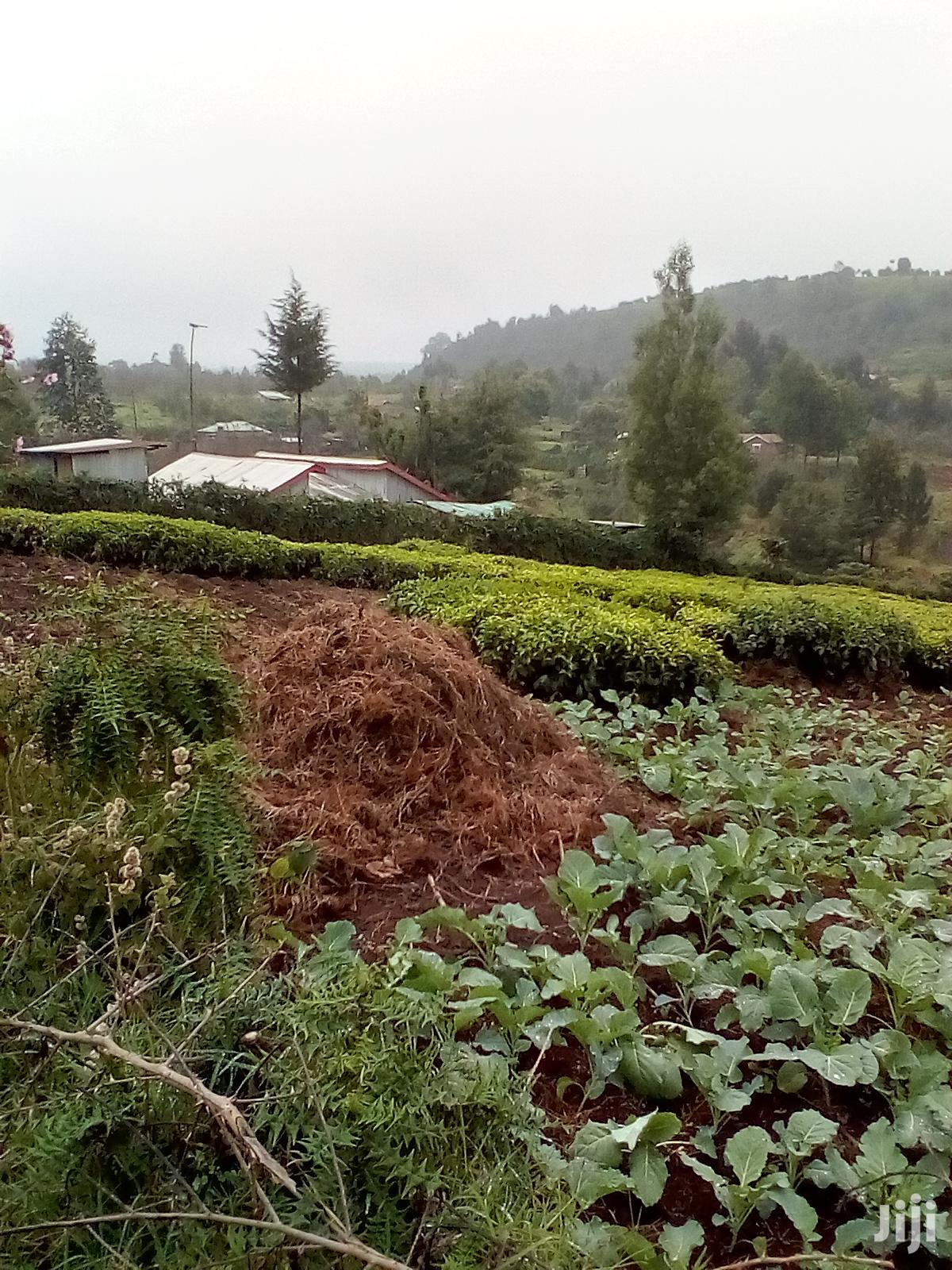 3 Acres Kinyogori, Limuru