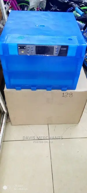 Eggs Incubate 128