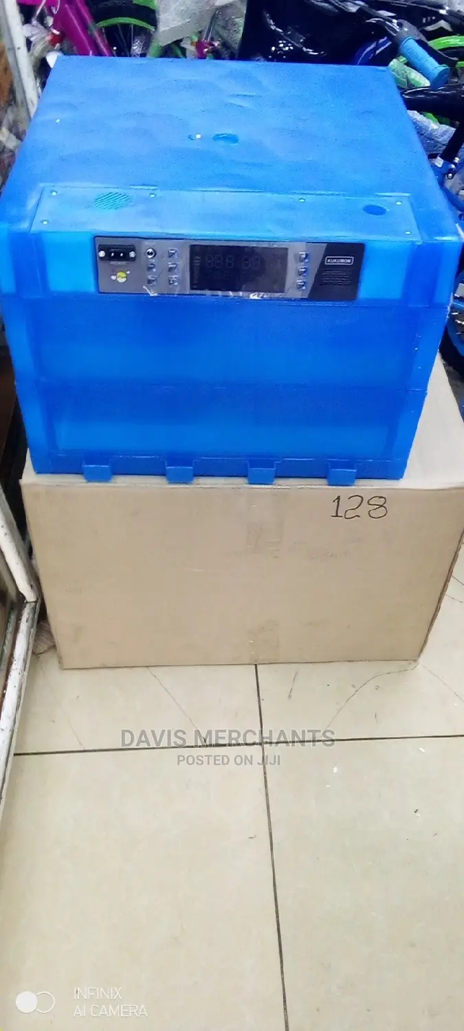 Eggs Incubate 128