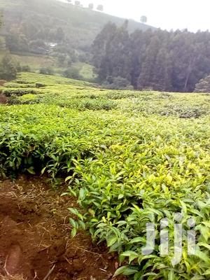3 Acres Kinyogori, Limuru