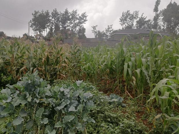 Plot in Kikuyu, Gikambura. - thumbnail 7
