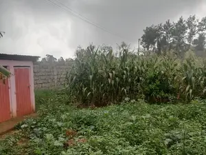 Plot in Kikuyu, Gikambura.