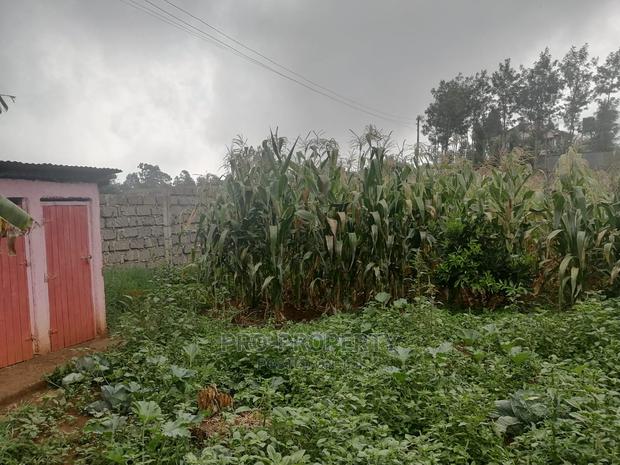 Plot in Kikuyu, Gikambura. - thumbnail 6