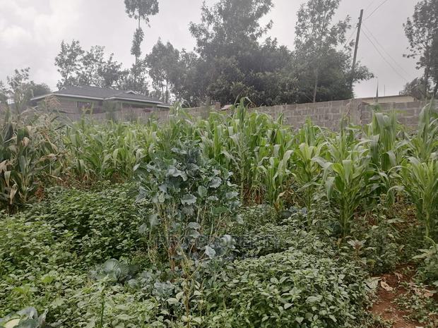 Plot in Kikuyu, Gikambura. - thumbnail 14