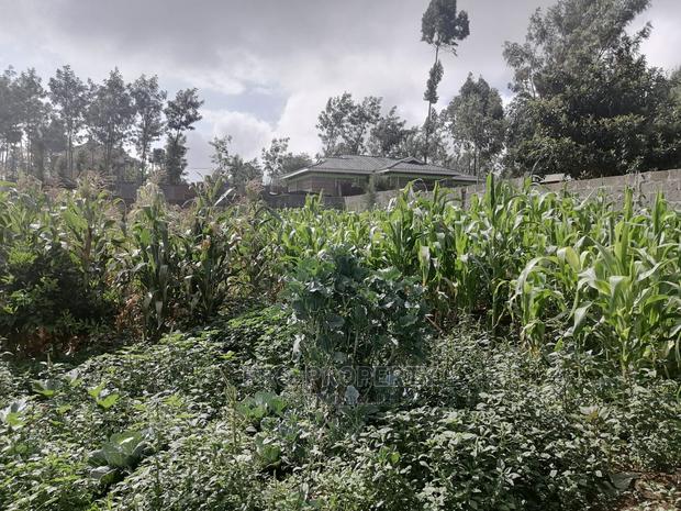 Plot in Kikuyu, Gikambura. - thumbnail 15