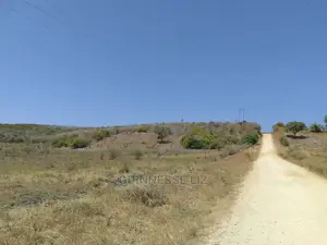 30 Acre on Sale at 250,000/- Per Acre