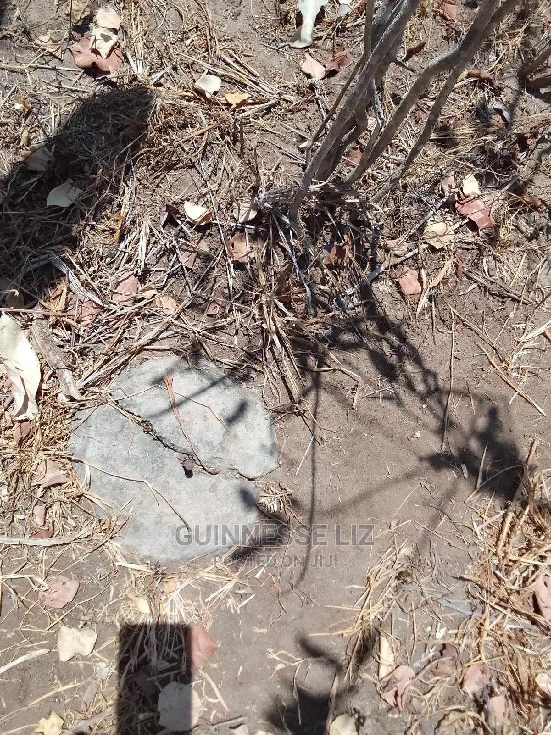 34 Acres for Sale at 150,000/- Per Acre