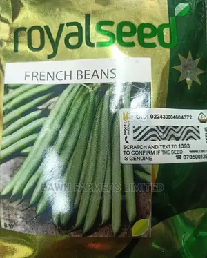 French Beans