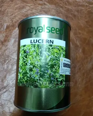 Lucern Seeds 250gms