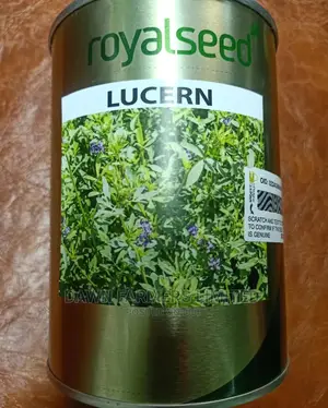 Lucern Seeds 250gms