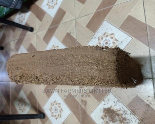 Untreated Cocopeat Block 5kg - thumbnail 2