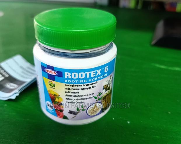 Rootex 6 (Rooting Hormone) 50gms