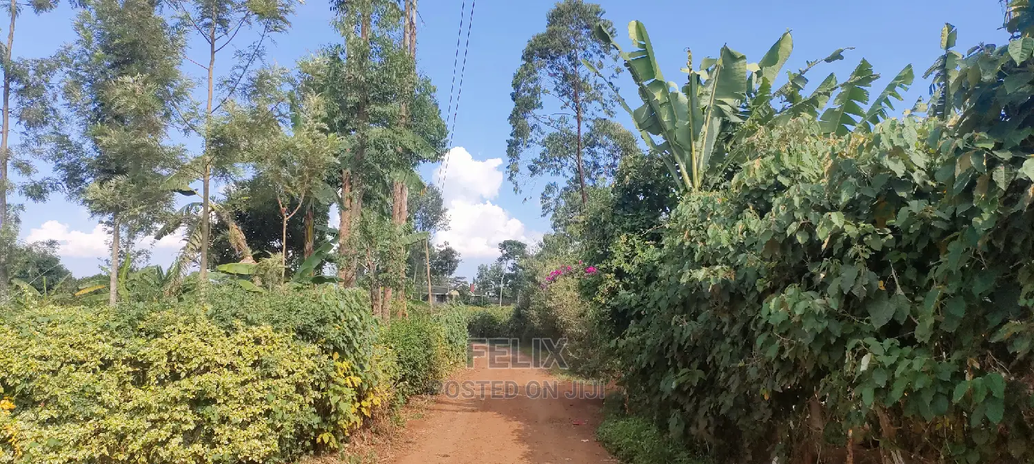 Karatina/Mwanda 3/4