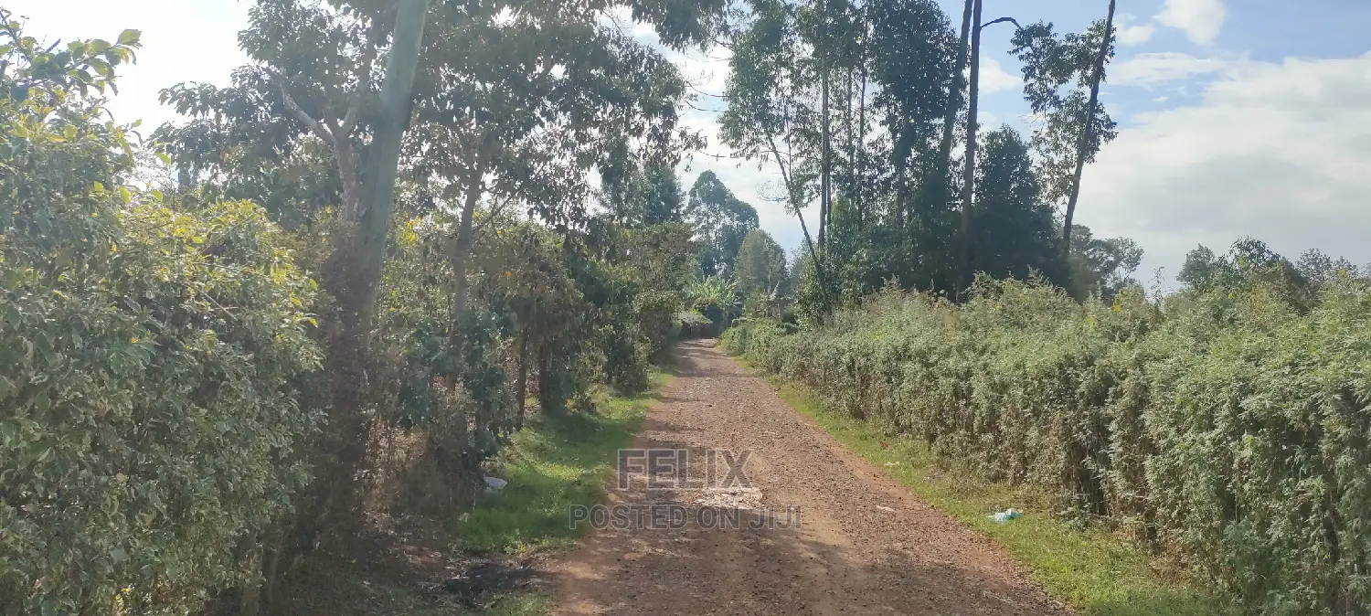 Karatina/Mwanda 3/4