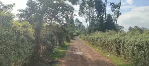 Karatina/Mwanda 3/4