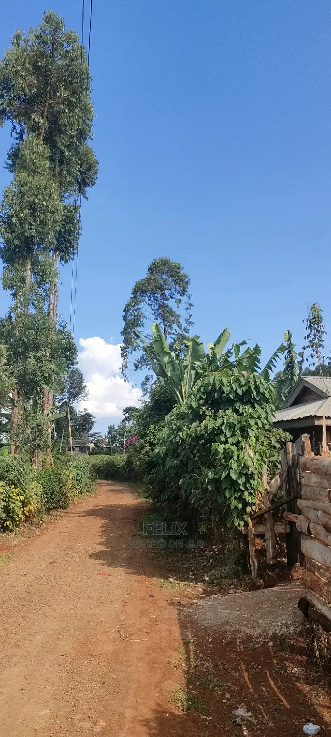 Karatina/Mwanda 3/4