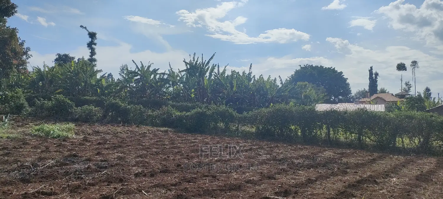 Karatina/Mwanda 3/4