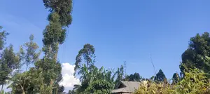 Karatina/Mwanda 3/4