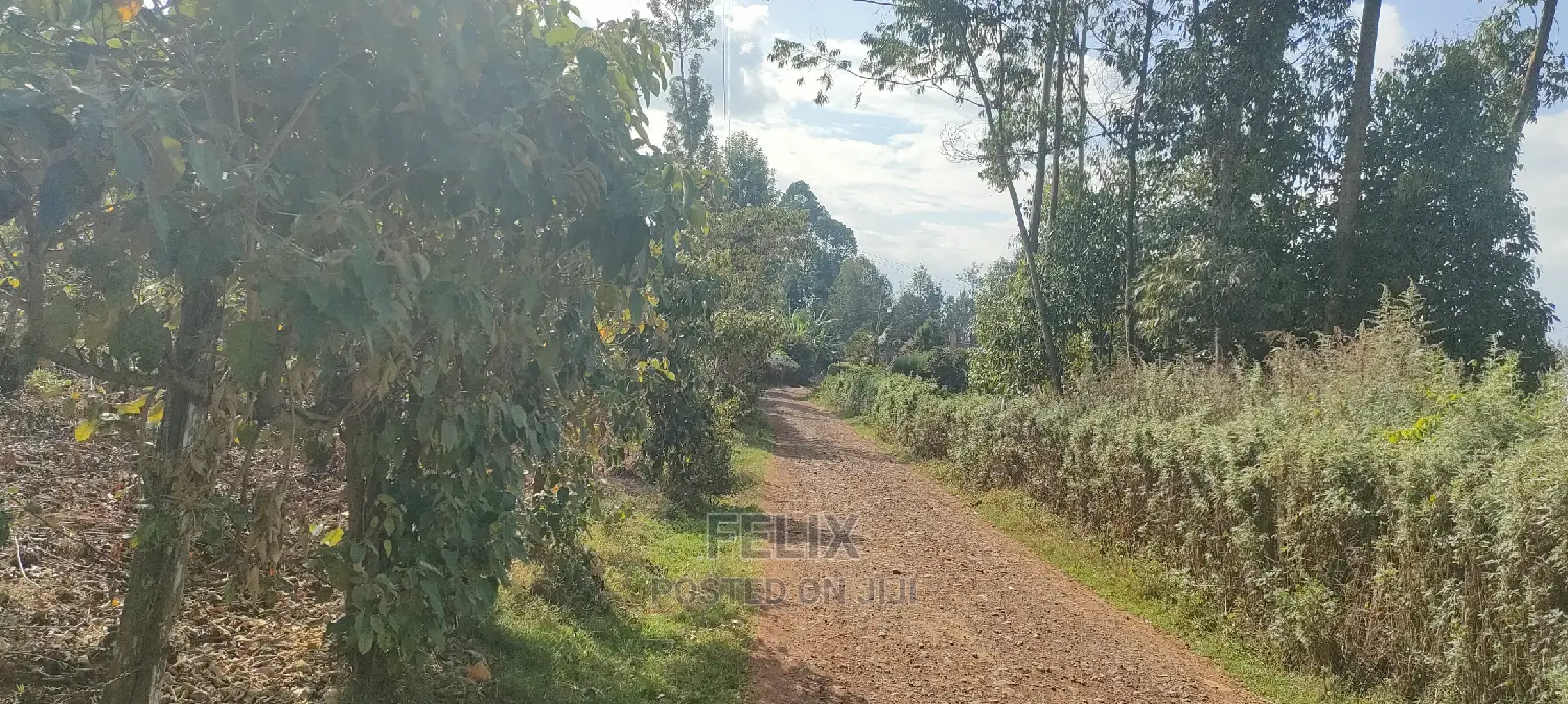 Karatina/Mwanda 3/4