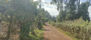 Karatina/Mwanda 3/4