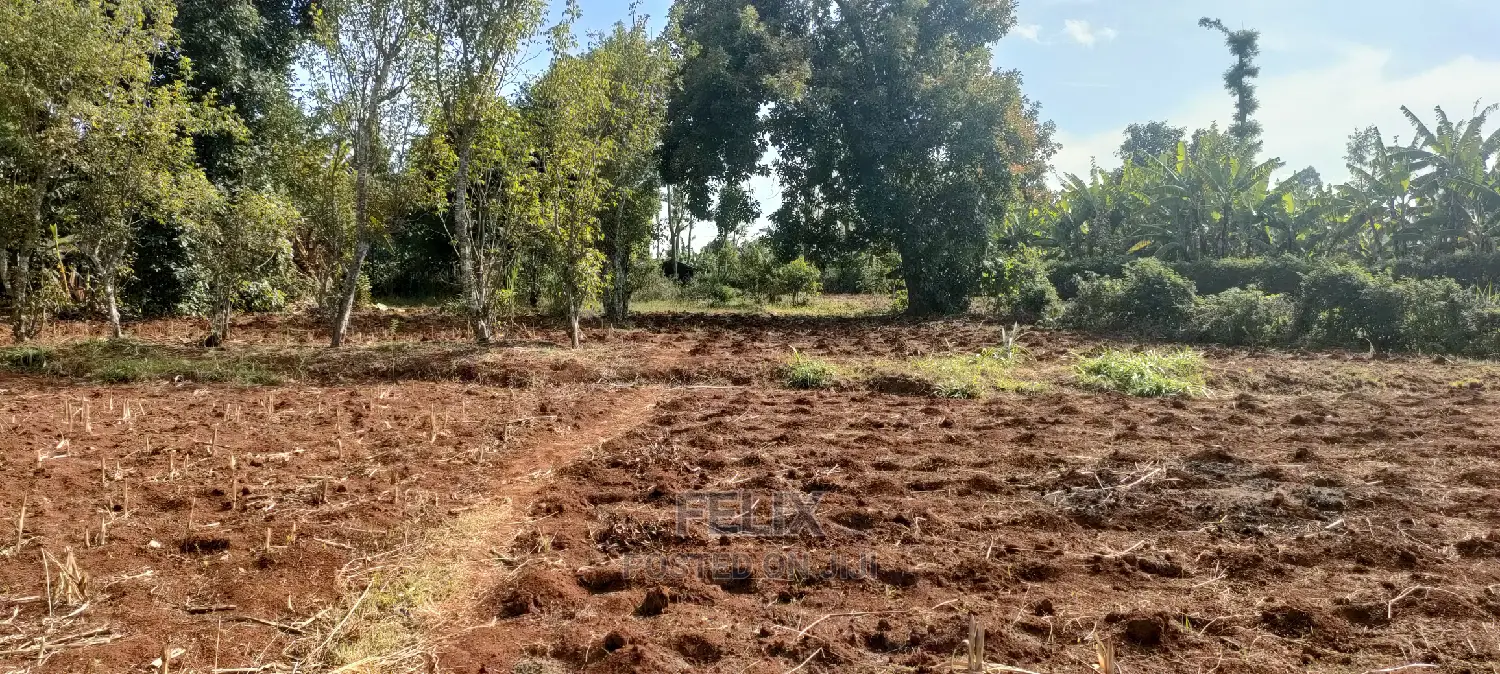 Karatina/Mwanda 3/4