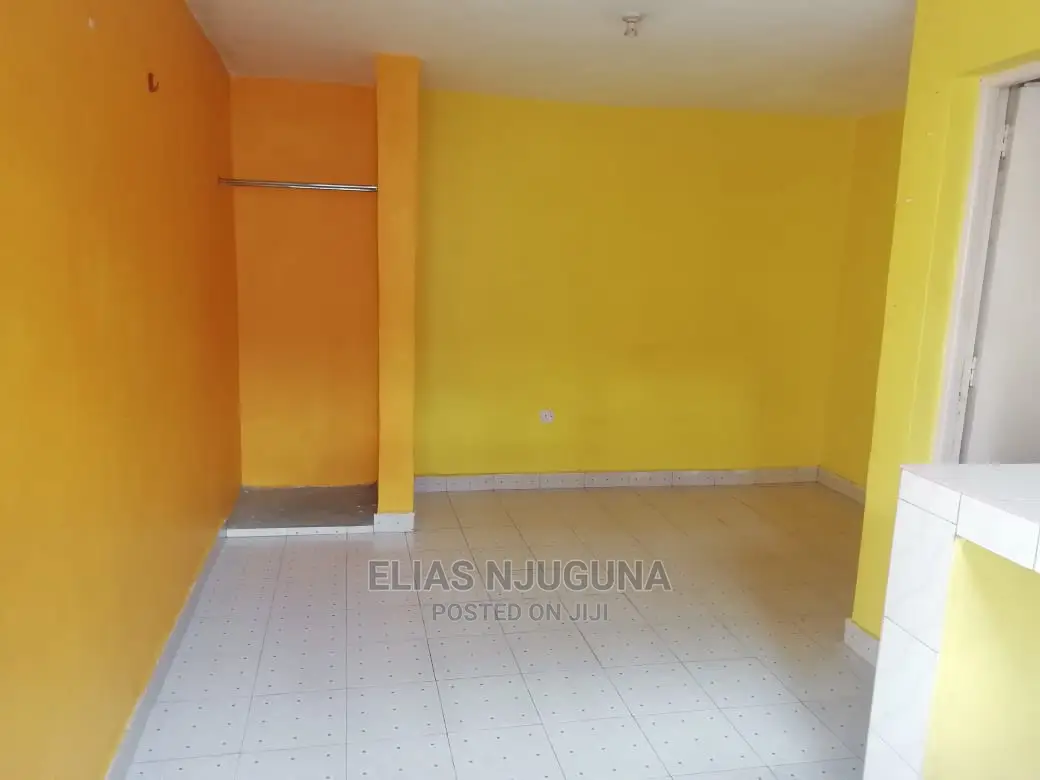 1bdrm Bedsitter in Buruburu for rent