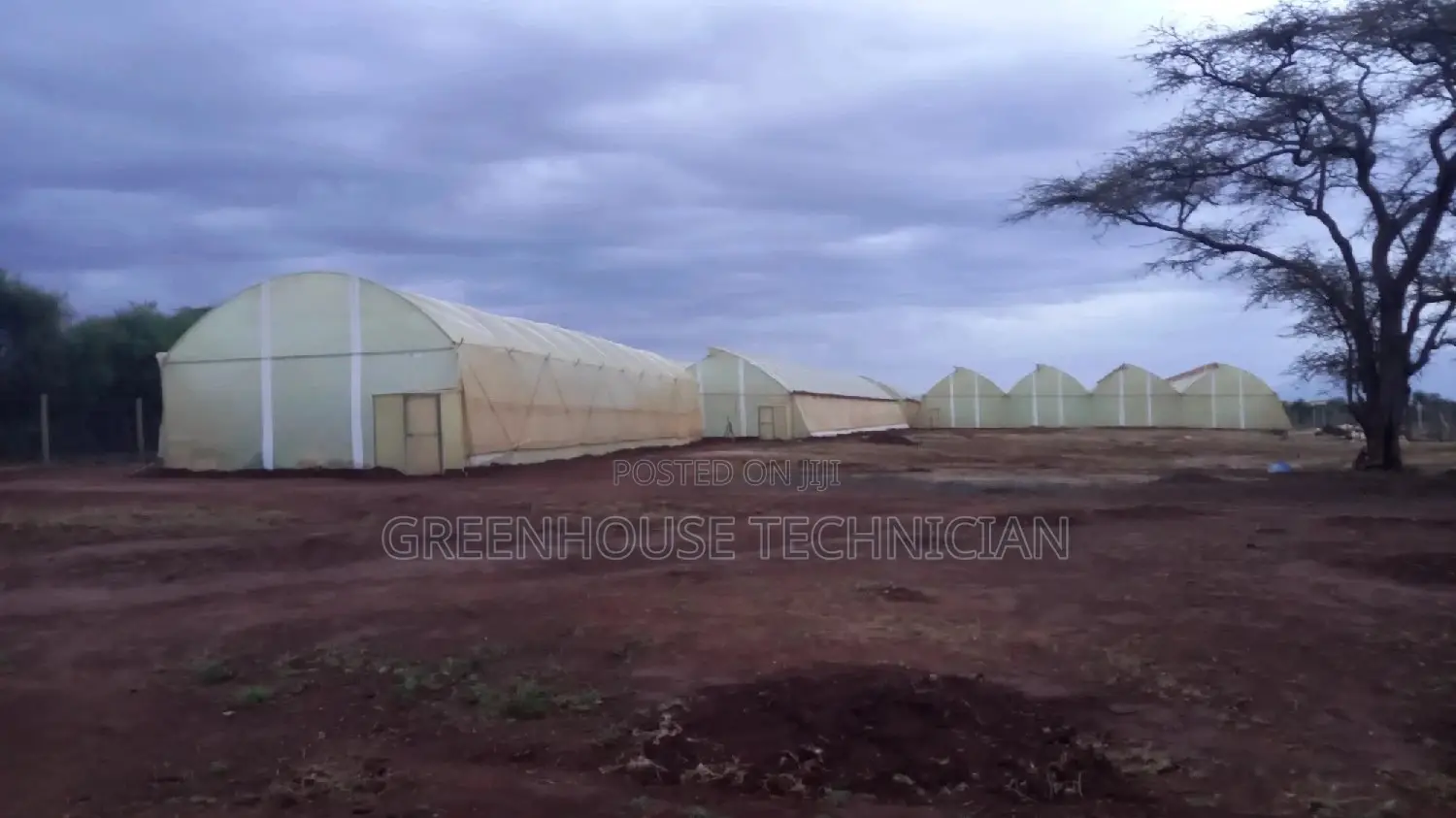 Greenhouses Technician,